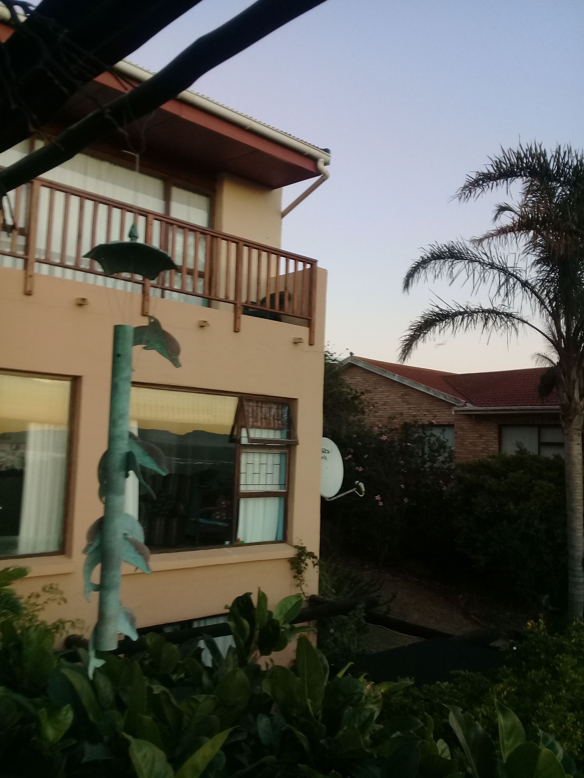 A two-story building with a balcony, a satellite dish, and a large plant in the foreground.