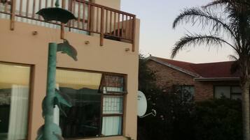 A two-story building with a balcony, a satellite dish, and a large plant in the foreground.