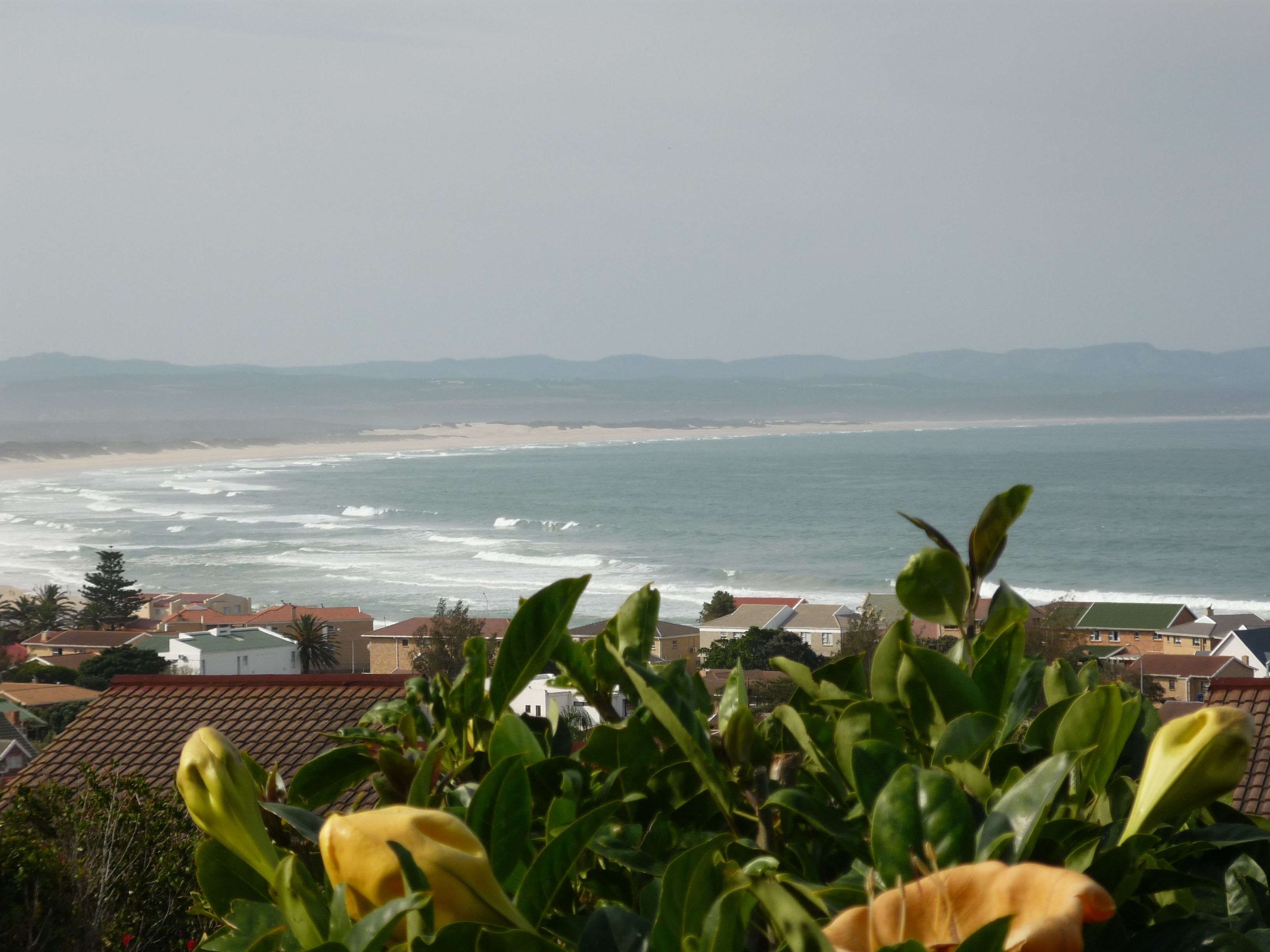 A coastal view with a beach, ocean waves, and residential buildings in the background.