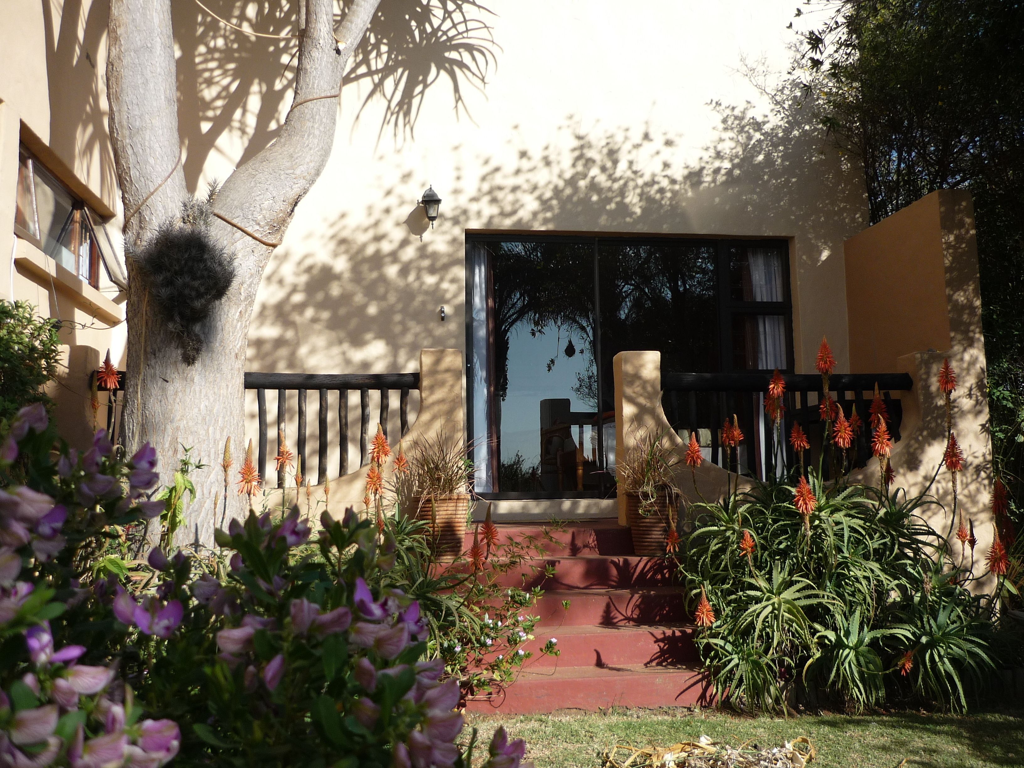 Un jardín con un banco de madera, un árbol y varias plantas.