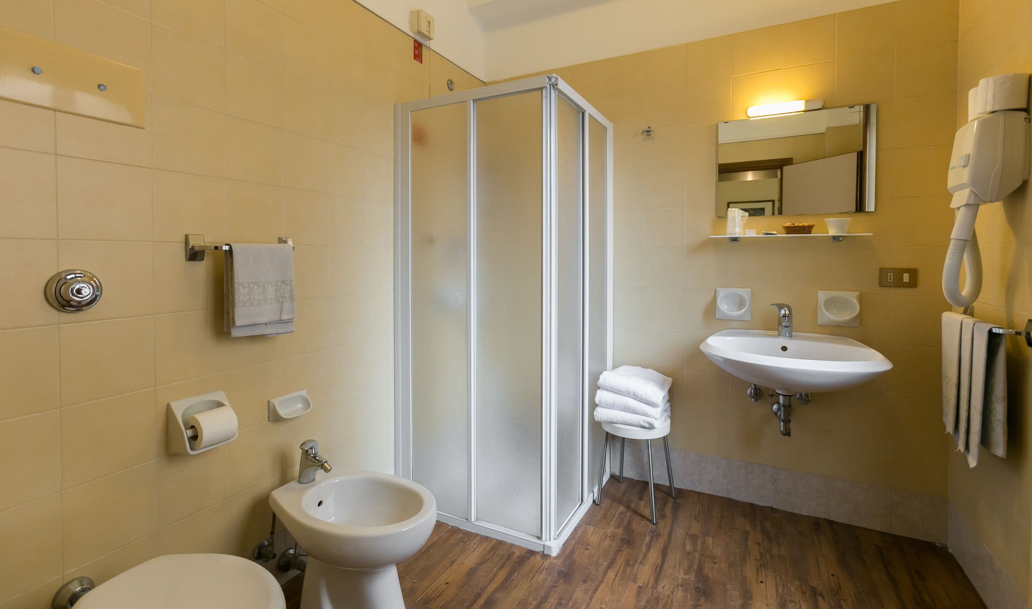 shower, free toiletries, hair dryer, bidet