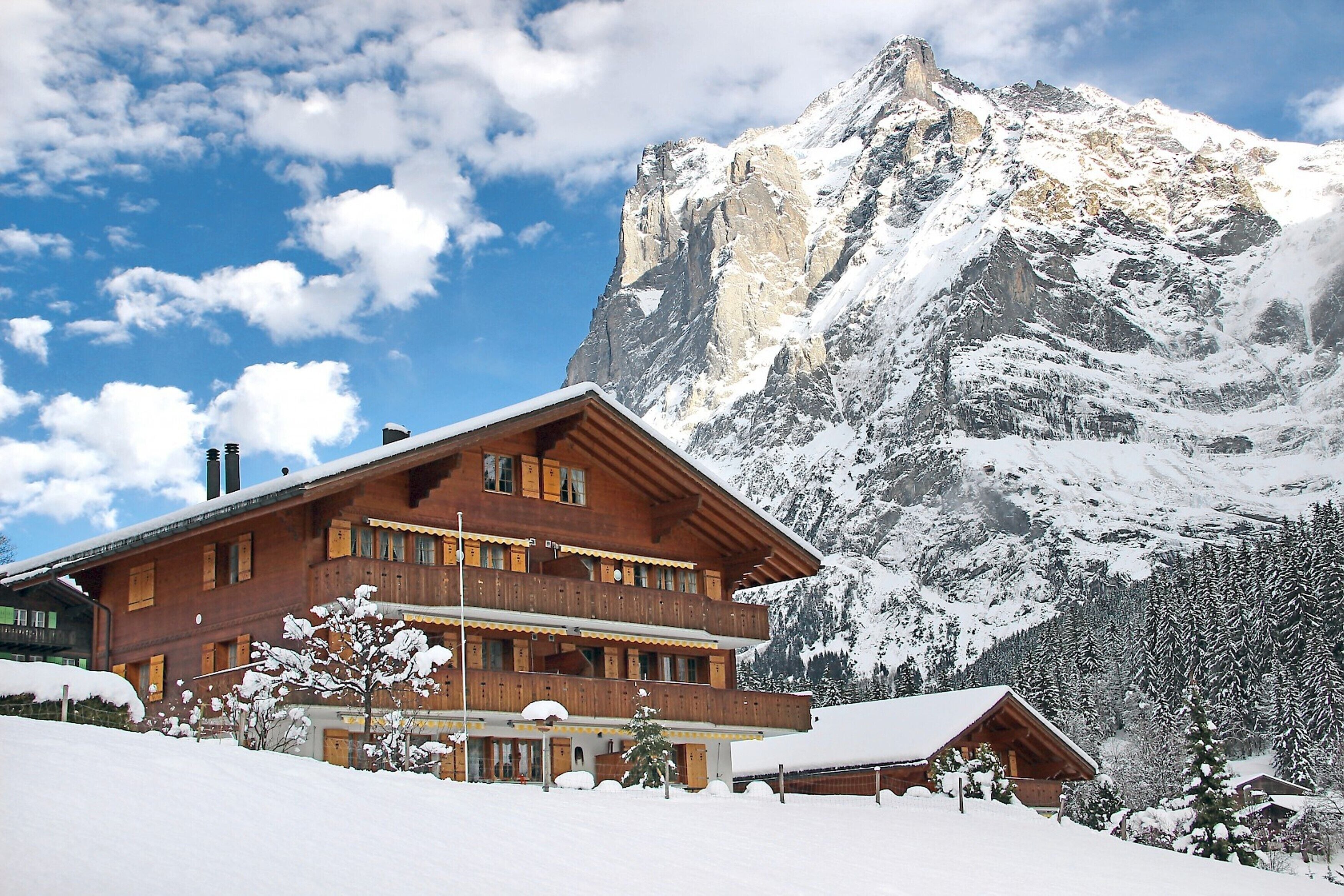 Departamento, 3 habitaciones (591) | Vista desde la habitación