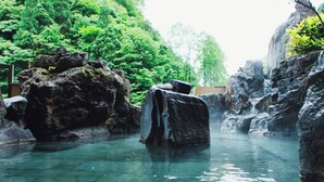 A natural hot spring surrounded by large rocks and lush greenery. - Tsuetate Onsen Hizenya (Oguni)