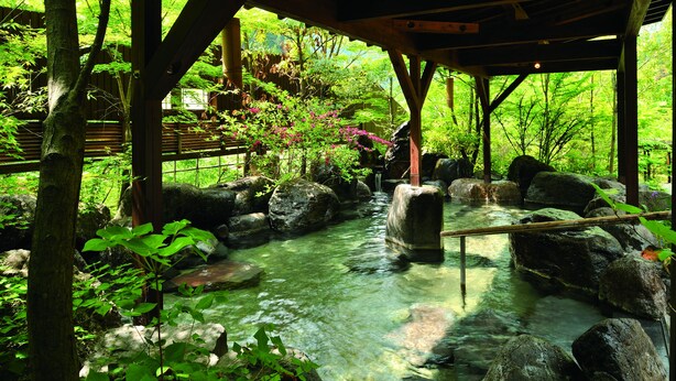 A traditional Japanese garden with a clear stream, large rocks, and lush greenery. - Tsuetate Onsen Hizenya (Oguni)