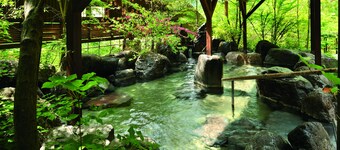 Tsuetate Onsen Hizenya