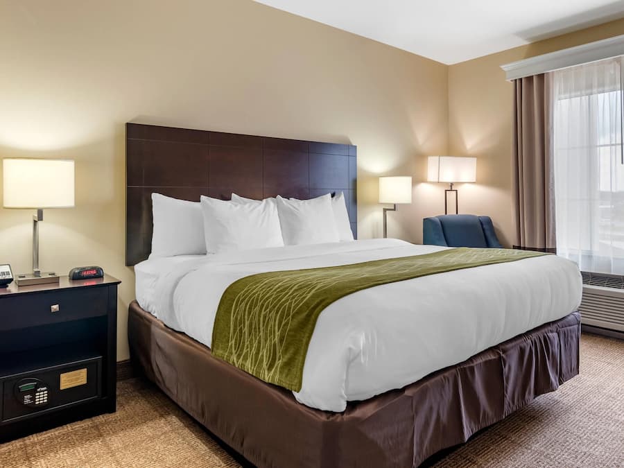 Room, 1 King Bed, Non Smoking | In-room safe, desk, blackout curtains, iron/ironing board