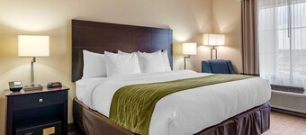 Comfort Inn & Suites Scott-West Lafayette