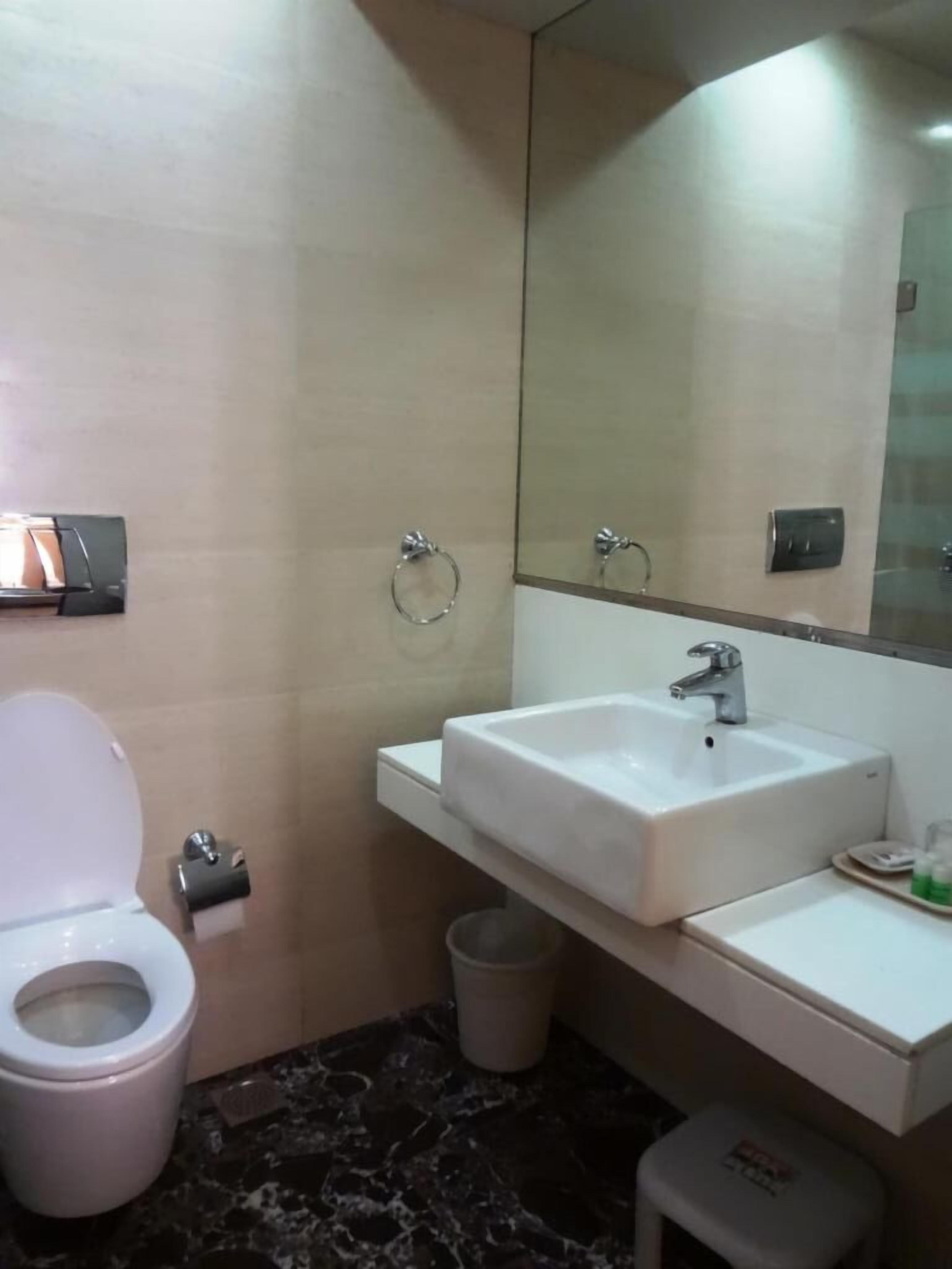 A bathroom with a toilet, sink, and mirror.