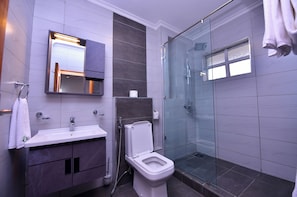 A modern bathroom with a glass shower enclosure, a white toilet, and a vanity with a mirror.