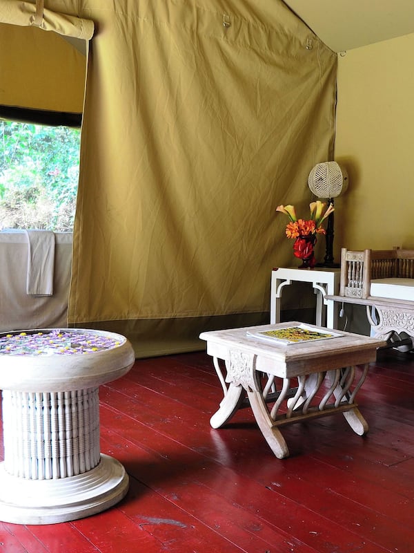 Hot tub, aromatherapy, body wraps, body scrubs, reflexology