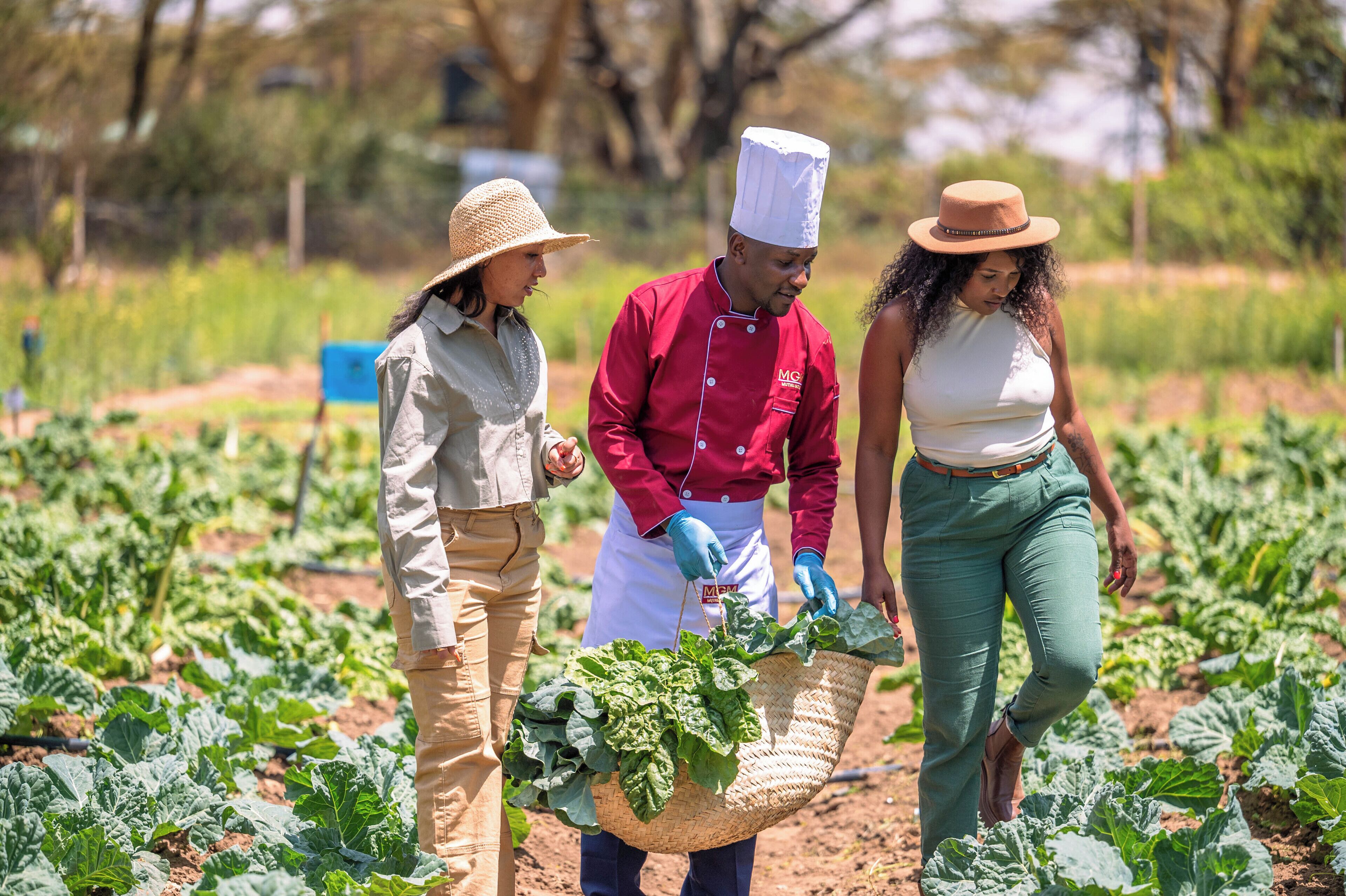 Three people in a field, one holding a basket of leafy greens.