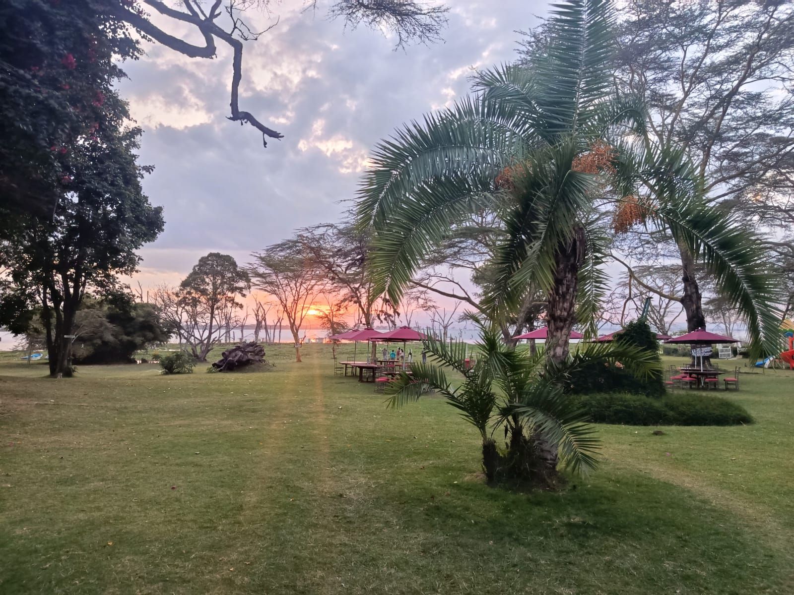 Ein Park mit Sonnenuntergangsblick, Picknicktischen und Sonnenschirmen.