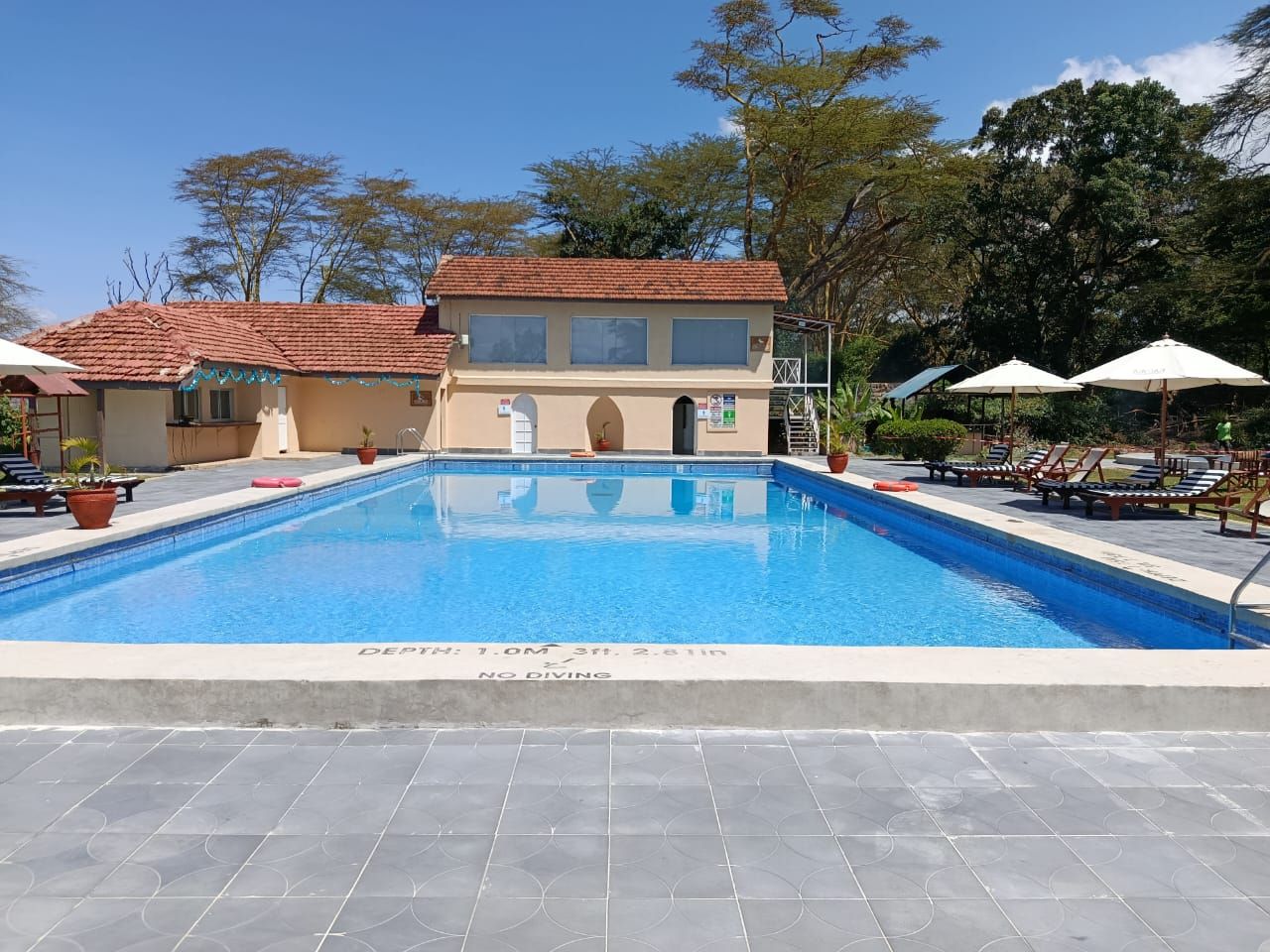 Ein Schwimmbecken mit Fliesenbord, Liegestühlen und einem Gebäude mit einem gefliesten Dach im Hintergrund.