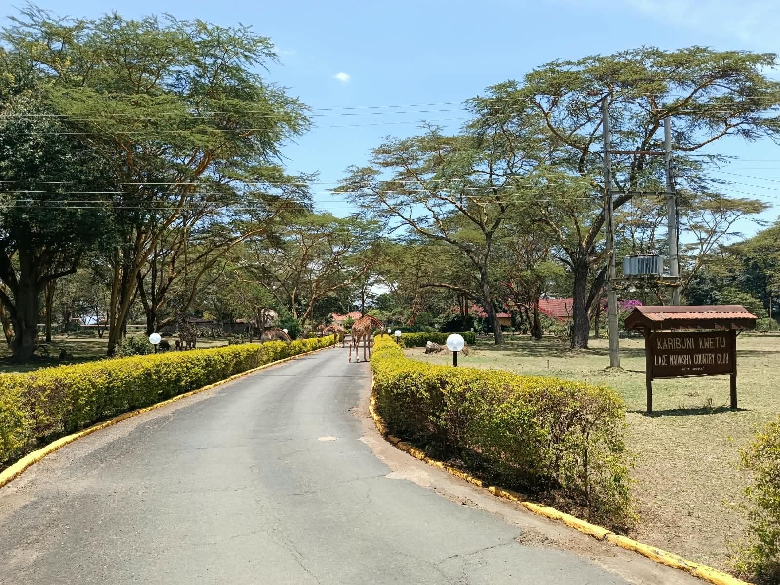 Eine von Bäumen gesäumte Straße mit einem Schild für den Karibuni Kmetu Lake Namasha Country Club.
