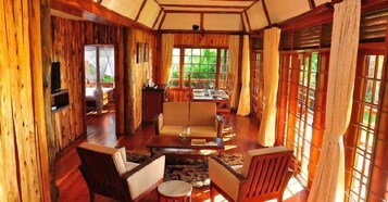 32-英寸电视 （配备卫星频道）、首映电影