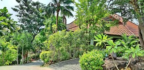 Garden - Chaweng Bay View Resort (Koh Samui)