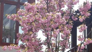 Property grounds - Jingshan Garden Hotel, Beijing (Beijing)