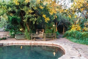 View from room - Birdsong Cottages (Modimolle)