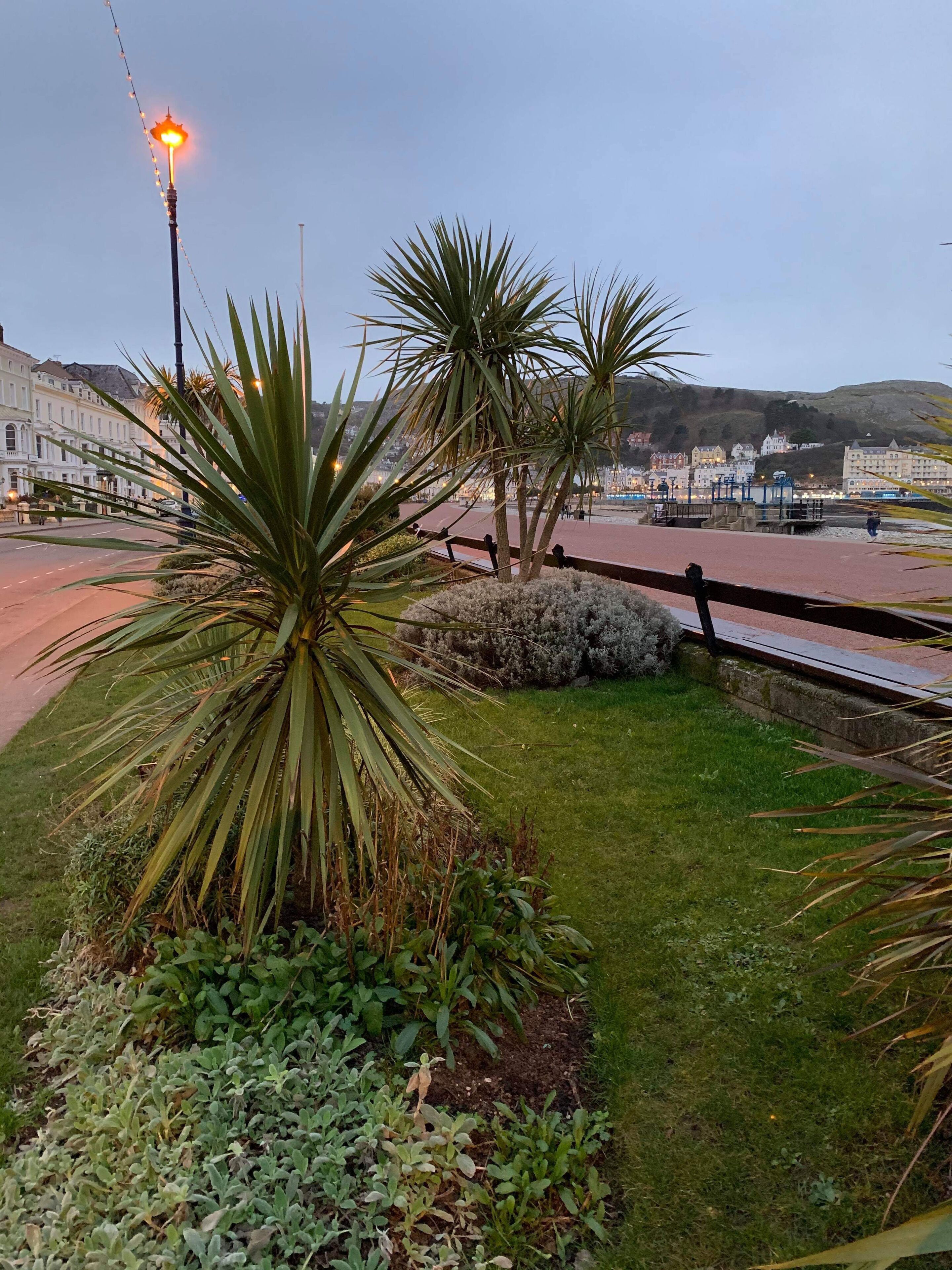 Foto - Iris Hotel Llandudno