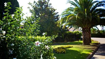Jardín