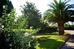 A well-maintained garden with a palm tree, flowering bushes, and neatly trimmed grass. - SJ Hotel (Tondela)