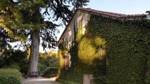 A cobblestone path leading to a building partially covered with ivy. - Imani Country House (Évora)