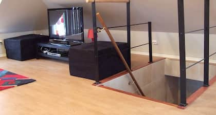 Platypus Penthouse Honeymoon Suite