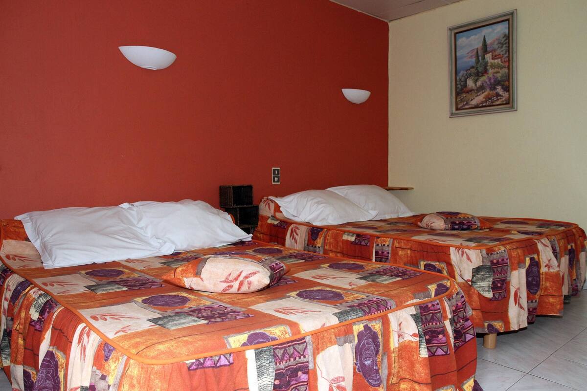 City Quadruple Room