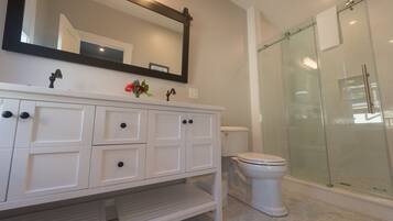 A bathroom with a white vanity, a large mirror, a toilet, and a glass-enclosed shower.