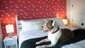 A dog lying on a bed in a room with a red wall and white bedding.