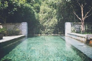 A clear pool surrounded by greenery, with a stone wall on one side and a tree on the other.
