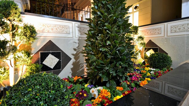 A well-maintained garden area with a variety of plants and flowers, a decorative wall with geometric patterns, and a tall, narrow plant structure.