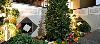 Hyde Park Apartments