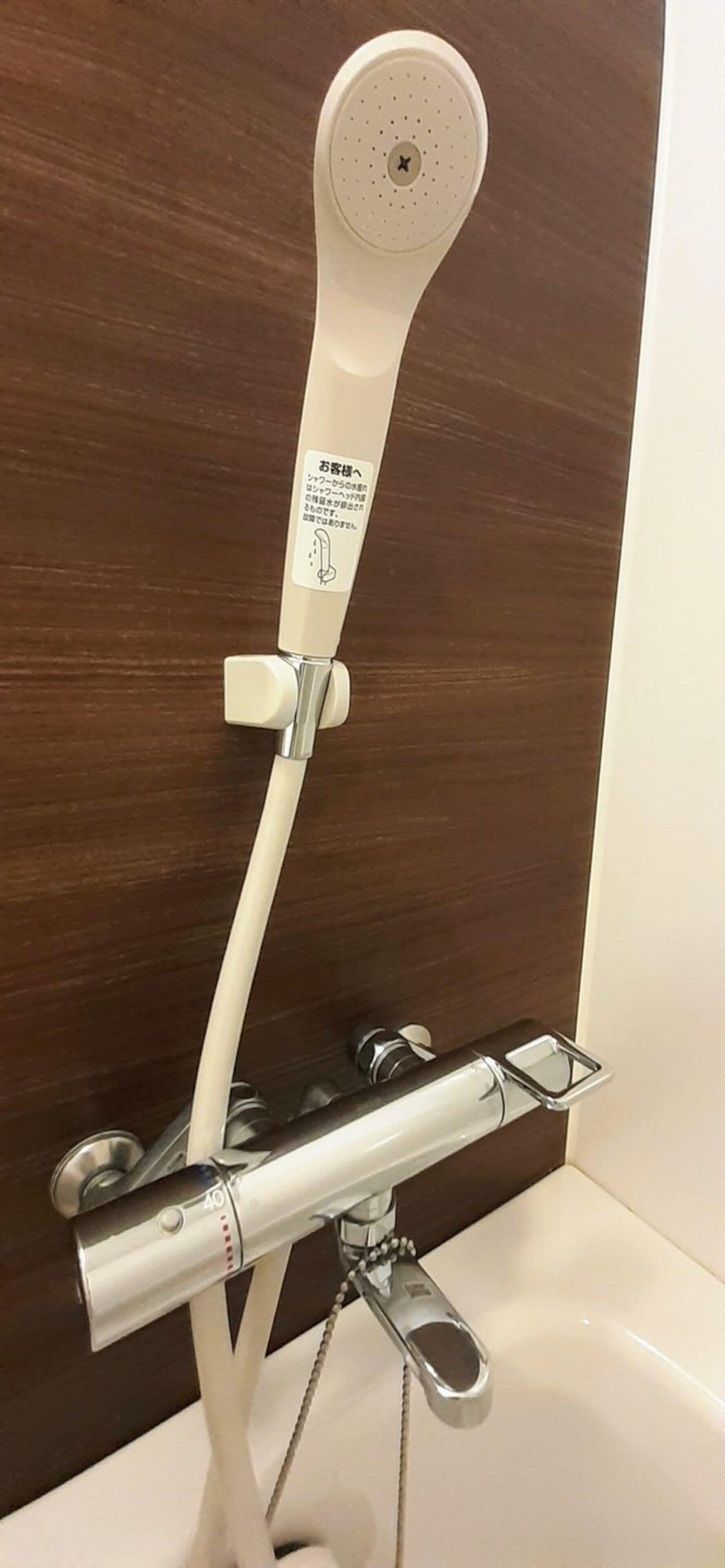 combined shower/bathtub, deep-soaking bathtub, hair dryer, slippers