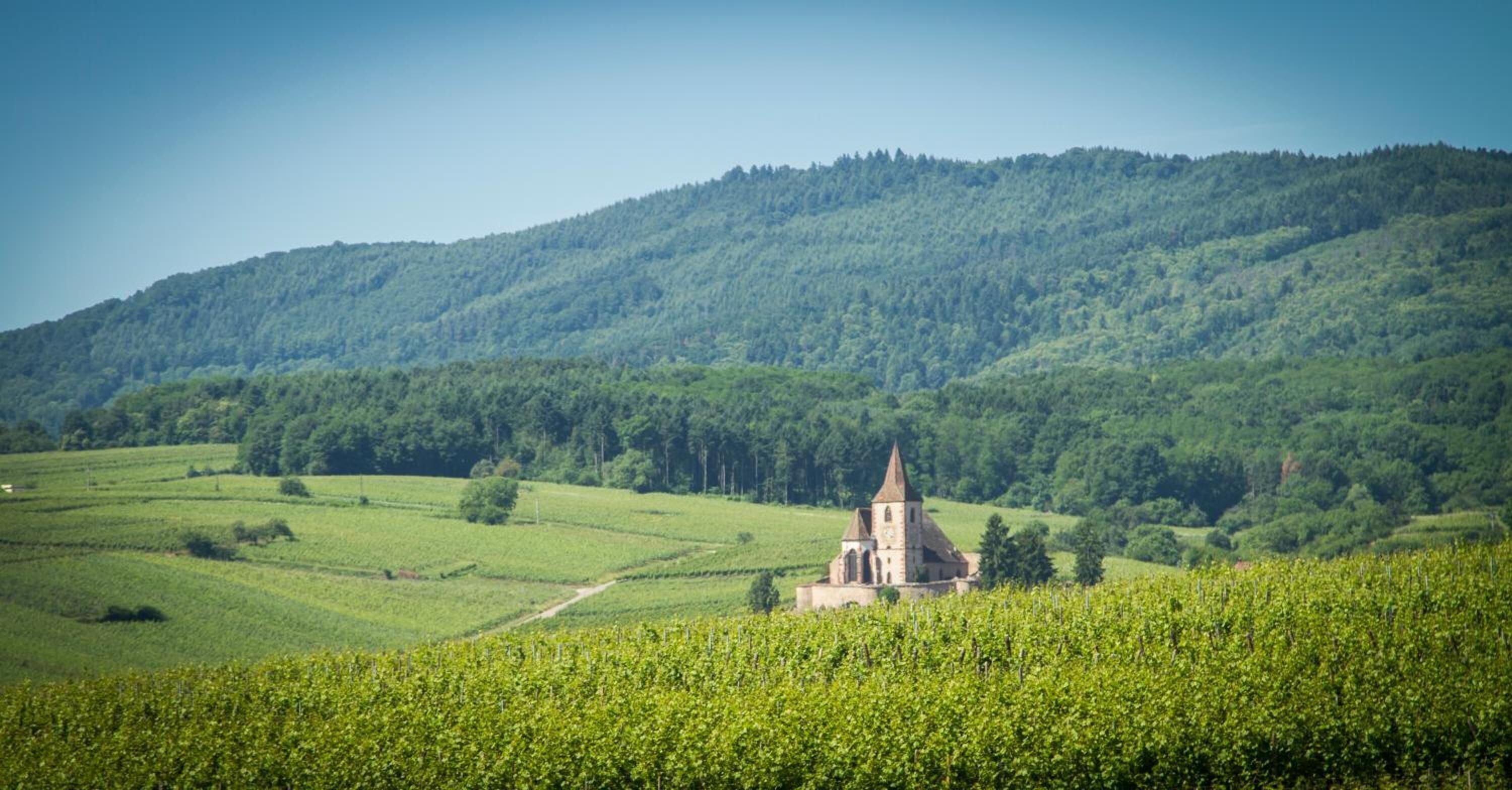 Une église entourée de champs verdoyants et d’une colline boisée.