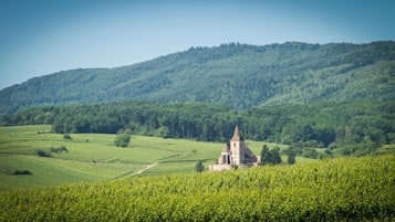 Une église entourée de champs verdoyants et d’une colline boisée.