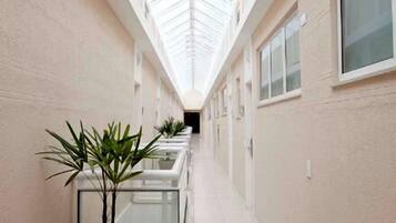 A narrow corridor with a glass ceiling, potted plants, and a tiled floor.