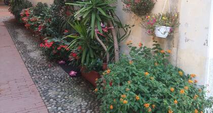 Affittacamere Rosa dei Venti