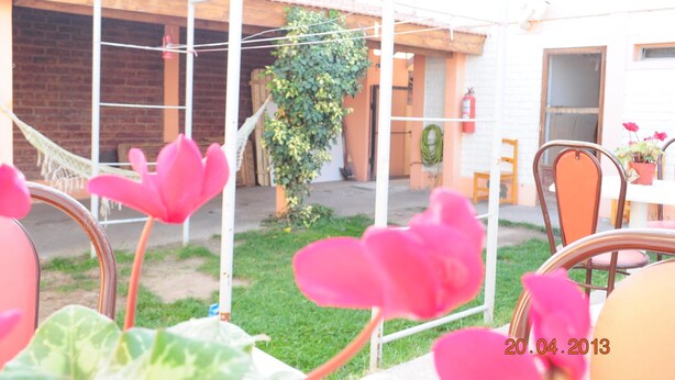 A patio area with a white pergola, a hammock, and pink flowers. - Neuquen Hostel Portal de Sueños (Neuquen)
