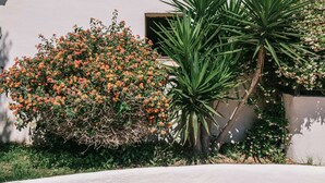 Il s’agit d’un bâtiment doté de deux fenêtres, dont l’une est surmontée d’un balcon, et d’une petite porte. Devant le bâtiment, on trouve un jardin où poussent diverses plantes et fleurs.