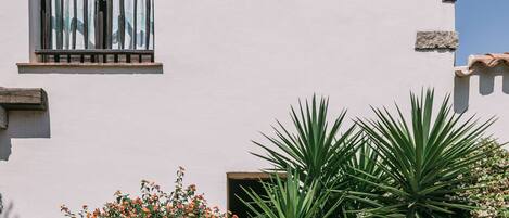 Il s’agit d’un bâtiment doté de deux fenêtres, dont l’une est surmontée d’un balcon, et d’une petite porte. Devant le bâtiment, on trouve un jardin où poussent diverses plantes et fleurs.