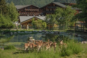 A lodge with a pond and deer in the foreground. - Hôtel Club le Crêt (Morzine)