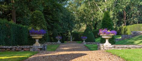 A gravel pathway flanked by neatly trimmed hedges and large planters with purple flowers.