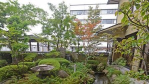Un jardin avec un étang, des rochers et différentes espèces de plantes.