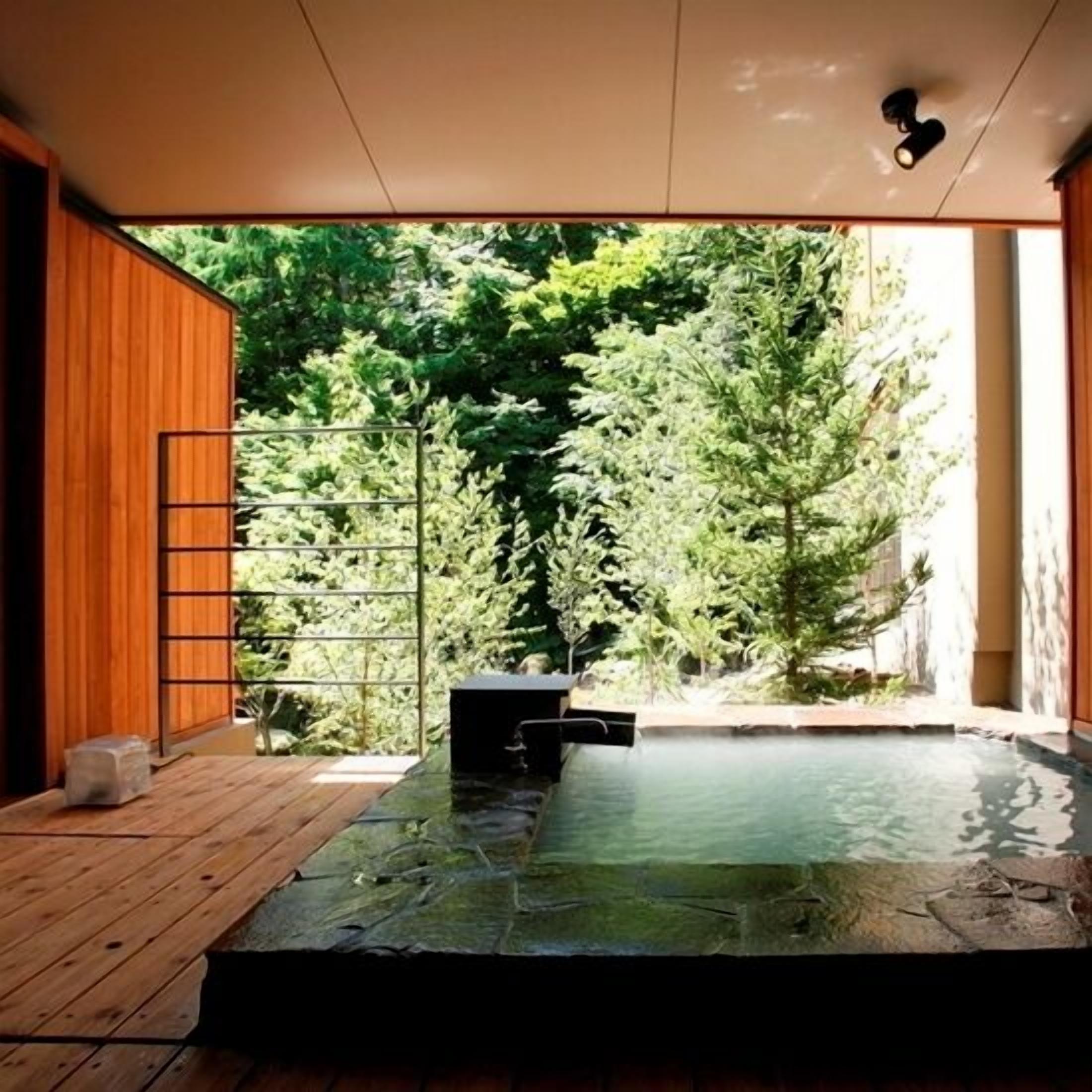 Un espace extérieur moderne doté d’une terrasse en bois, d’une petite piscine et d’une clôture en métal.