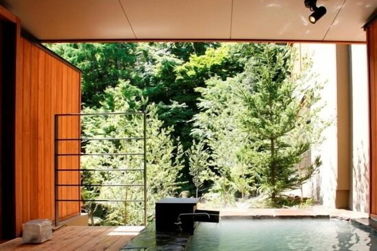 Un espace extérieur moderne doté d’une terrasse en bois, d’une petite piscine et d’une clôture en métal.