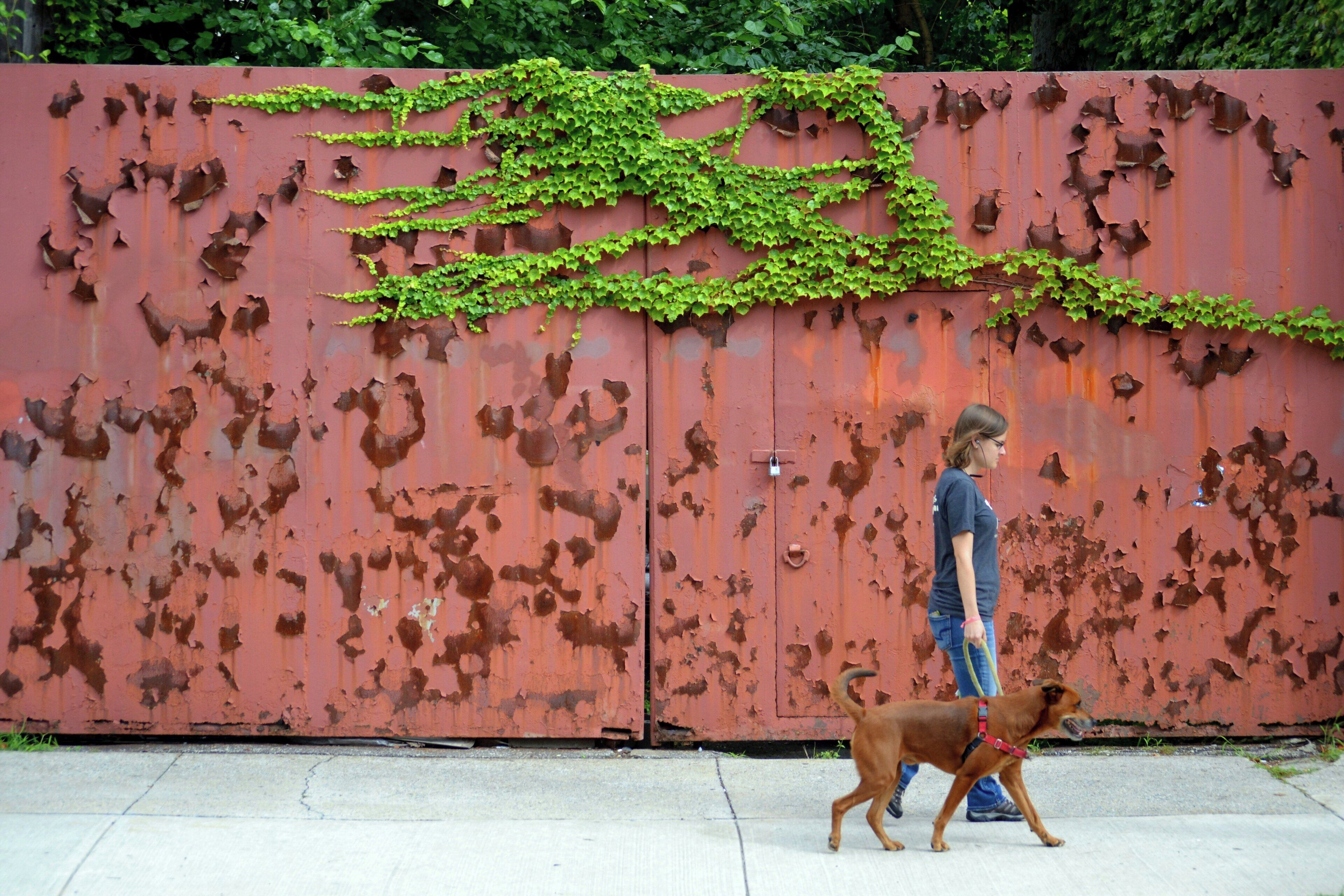 Photo - The Lodge Red Hook