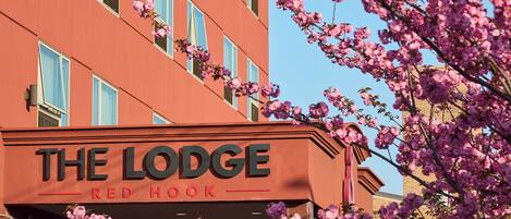 Fachada del alojamiento