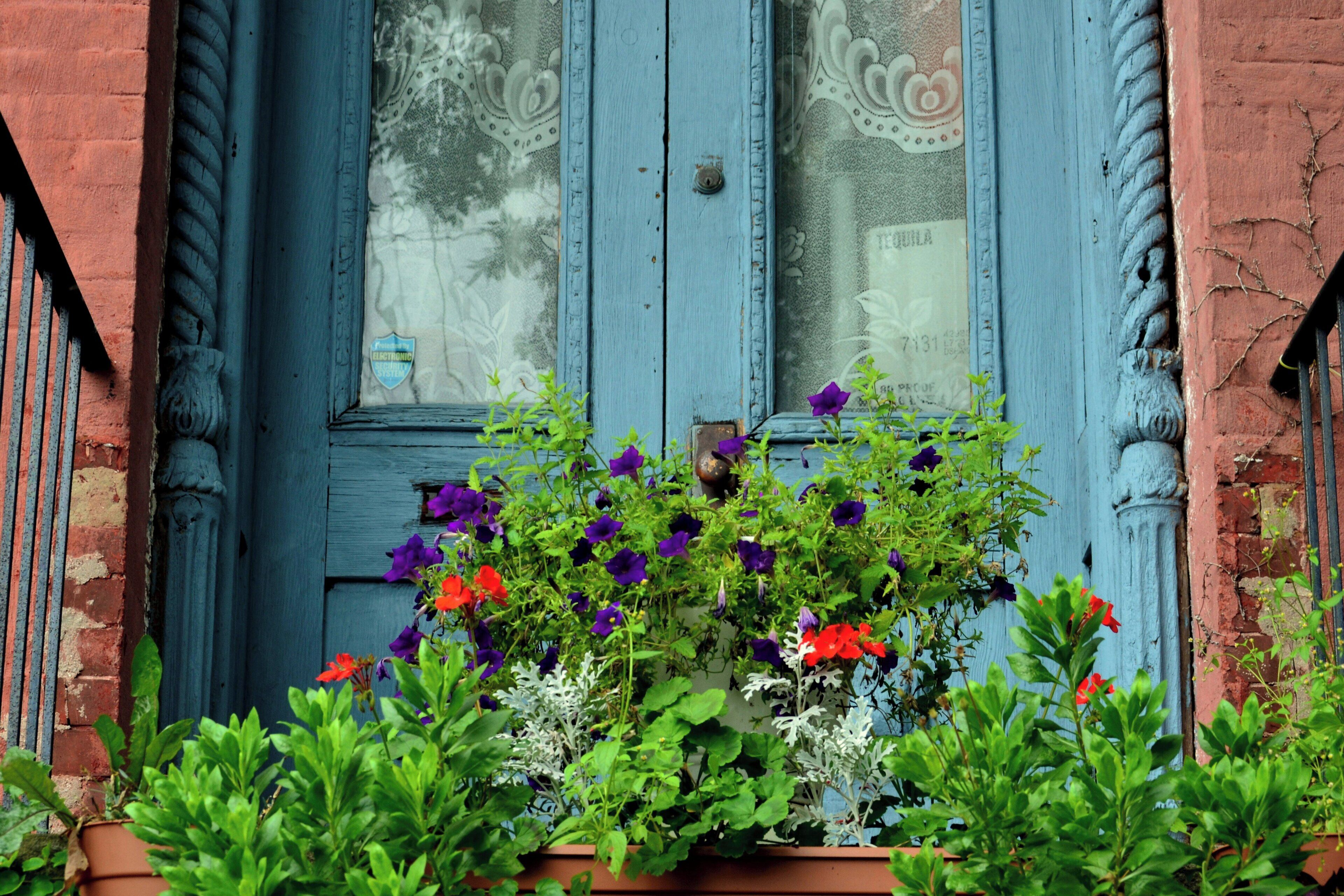 Photo - The Lodge Red Hook