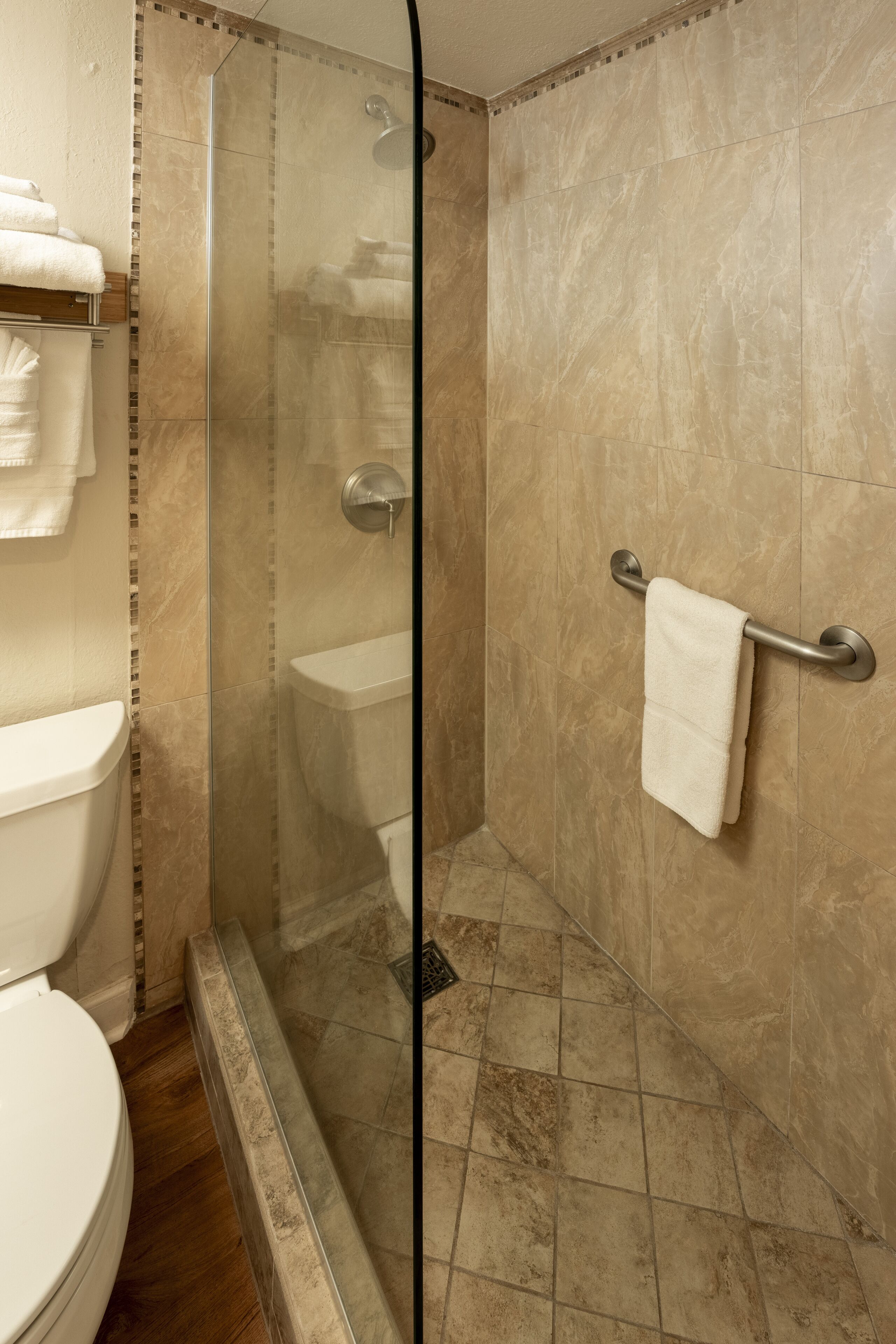 A bathroom with a glass-enclosed shower, a toilet, and a towel rack.